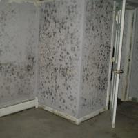 Mold Inspection & Testing Greenville SC image 2
